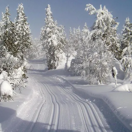 Awesome In Ljordalen With Kitchen * Ljordal